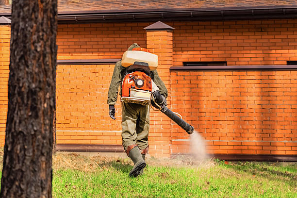 Bed Bug Clearance Verification and Documentation in Auburn